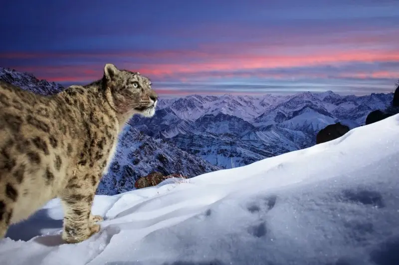 برندگان مسابقه عکاس سال Nature TTL سال ۲۰۲۲