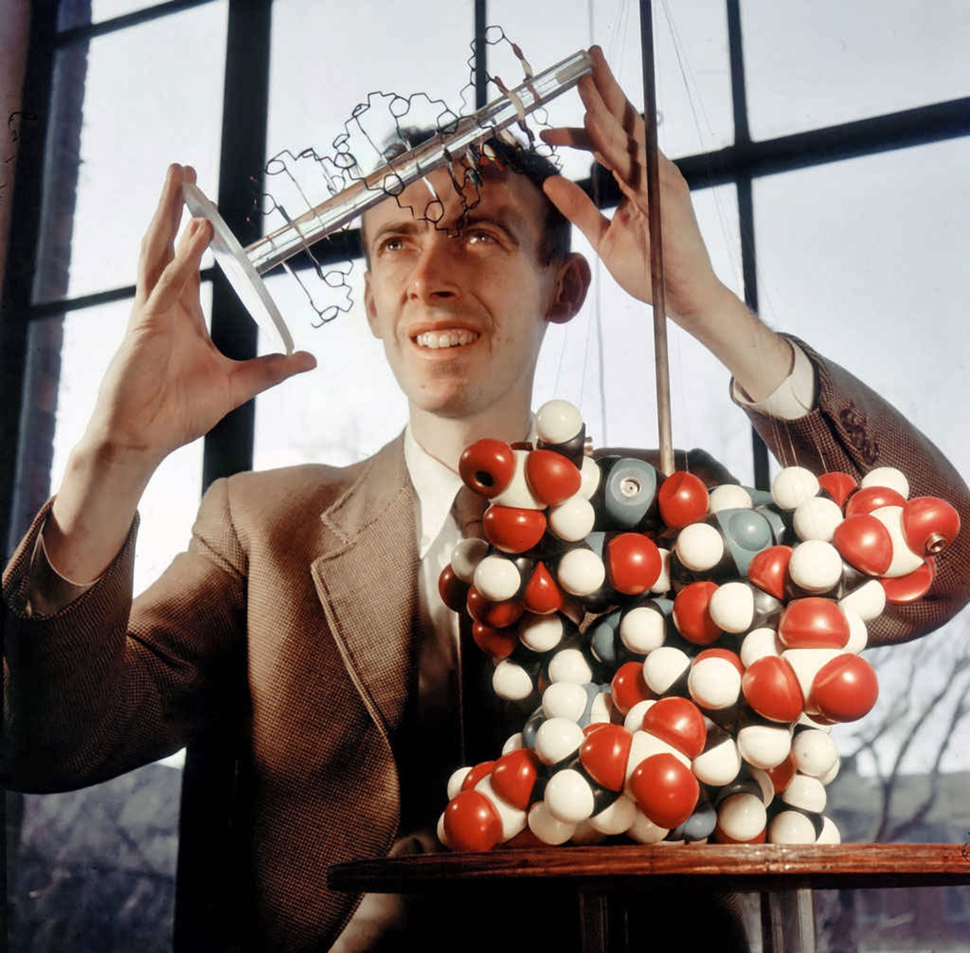 جیمز واتسون می‌خواست با ژنتیک زشتی را ریشه‌کن کند