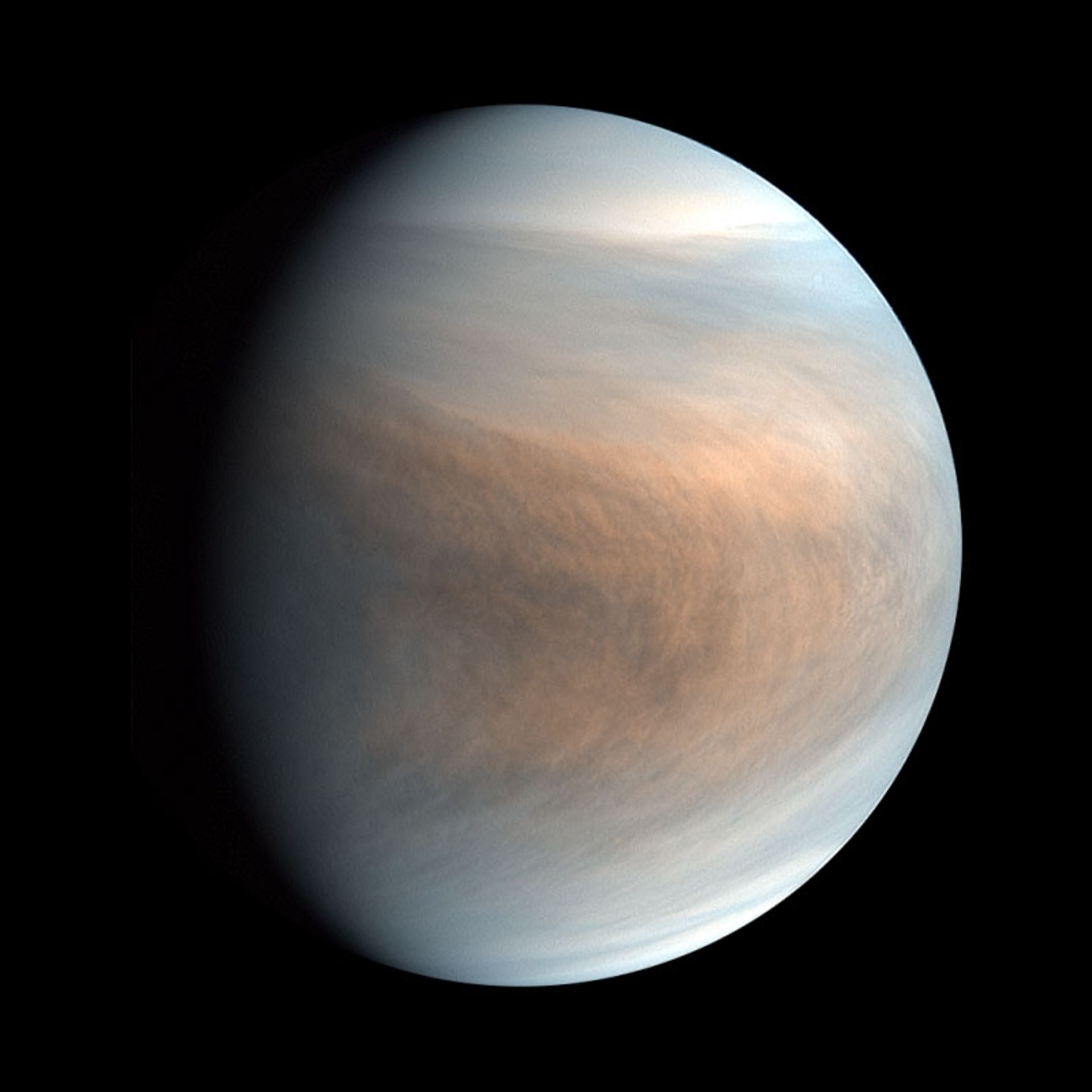 Life on Venus