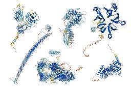 هوش مصنوعی دیپ مایند تقریباً شکل تمام پروتئین‌های شناخته‌شده برای علم را پیش‌بینی کرد