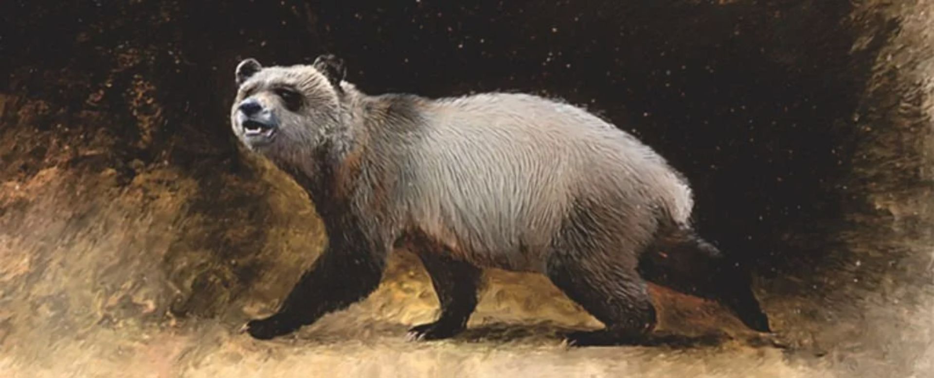 تصویر بازسازی‌شده پاندای غول پیکر باستانی Agriarctos nikolovi