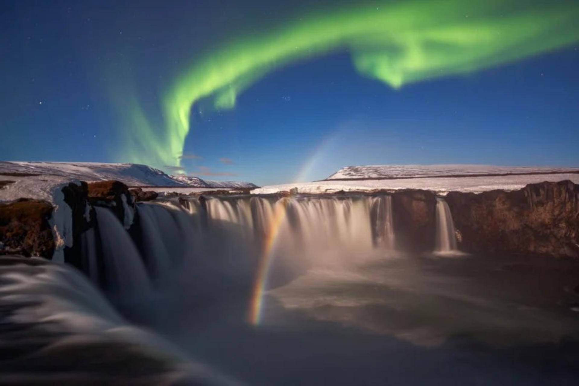 برندگان مسابقه عکاس سال Nature TTL سال ۲۰۲۲