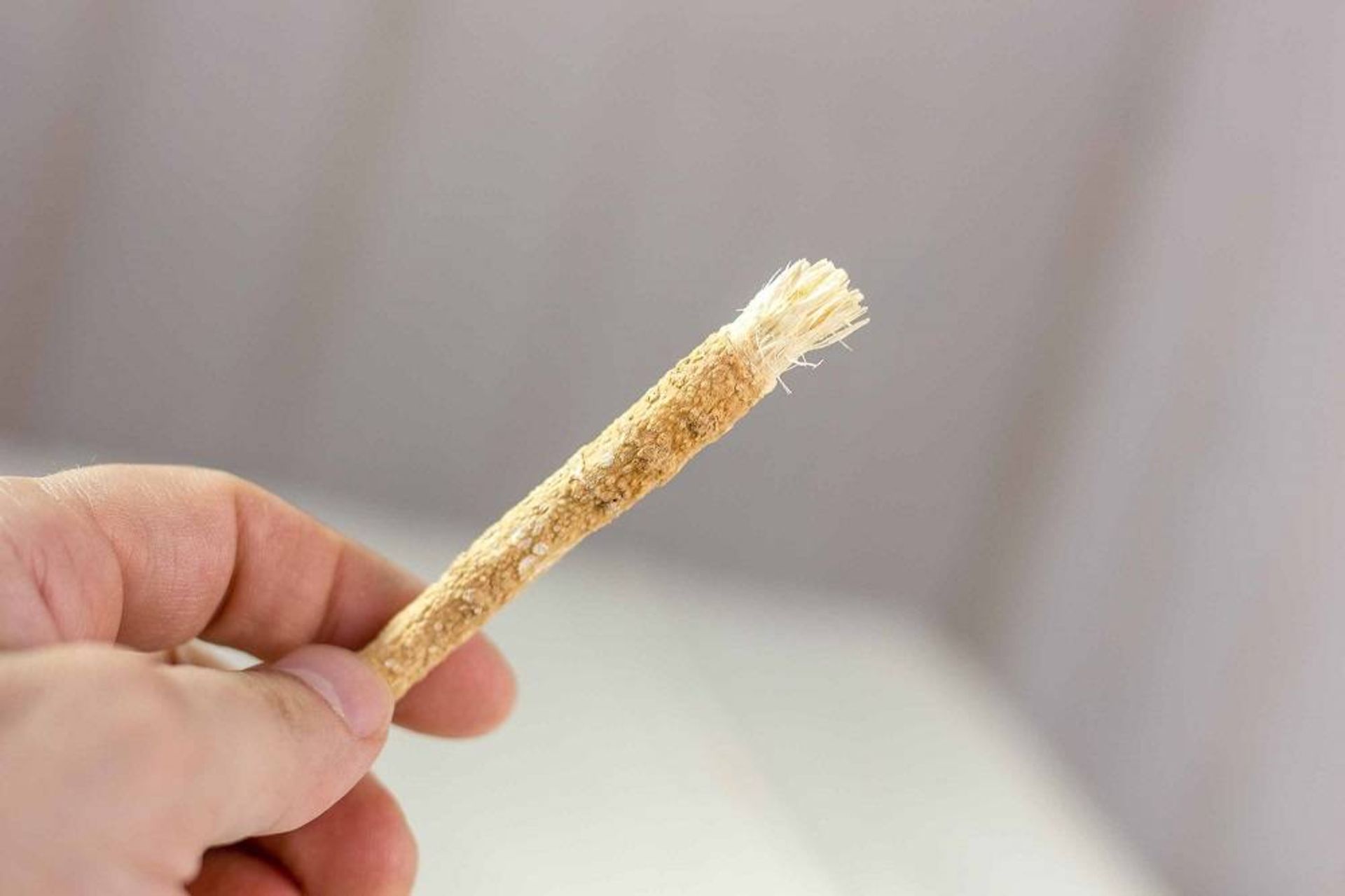 مسواک طبیعی از شاخه درخت / miswak