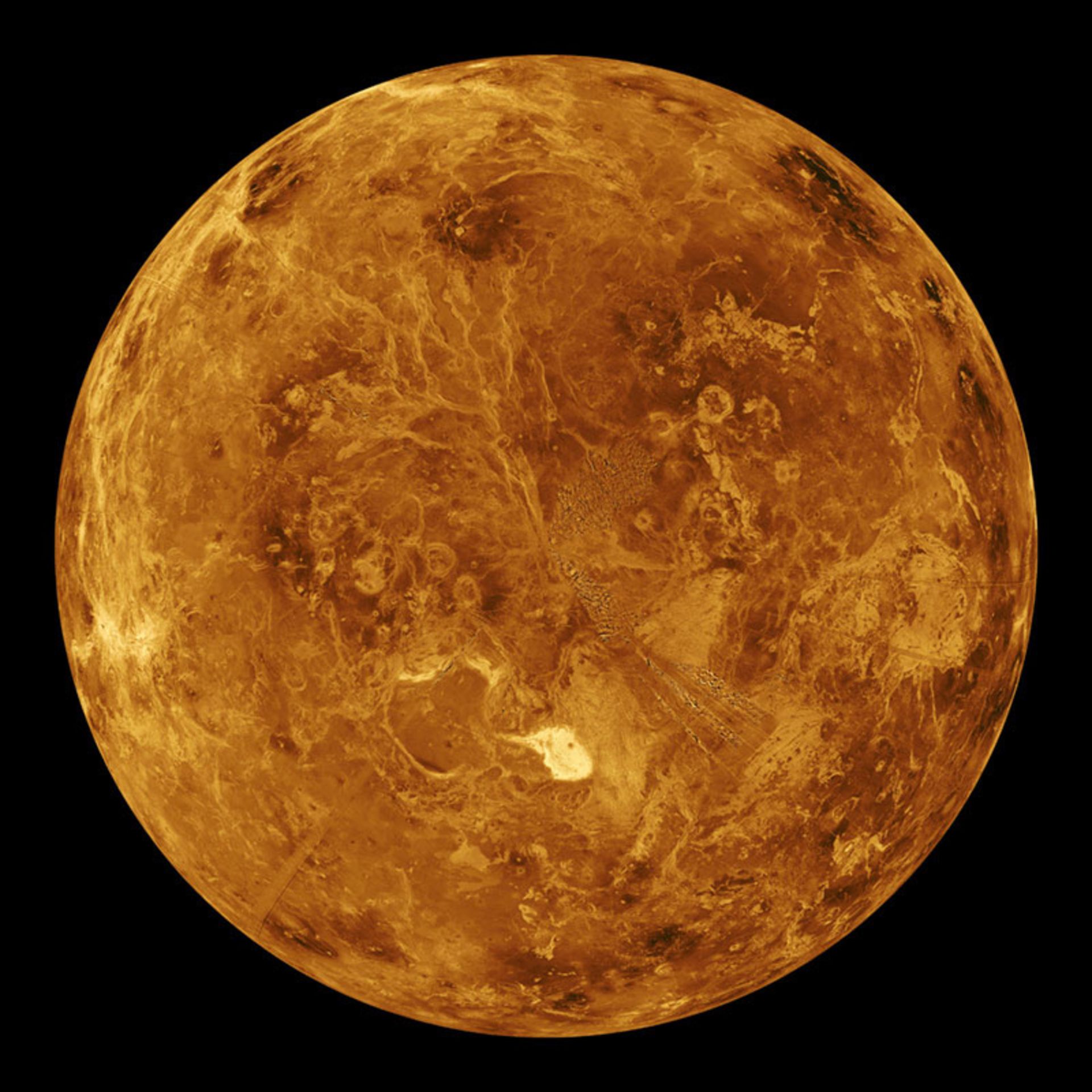 Global computer simulation of the northern hemisphere of Venus