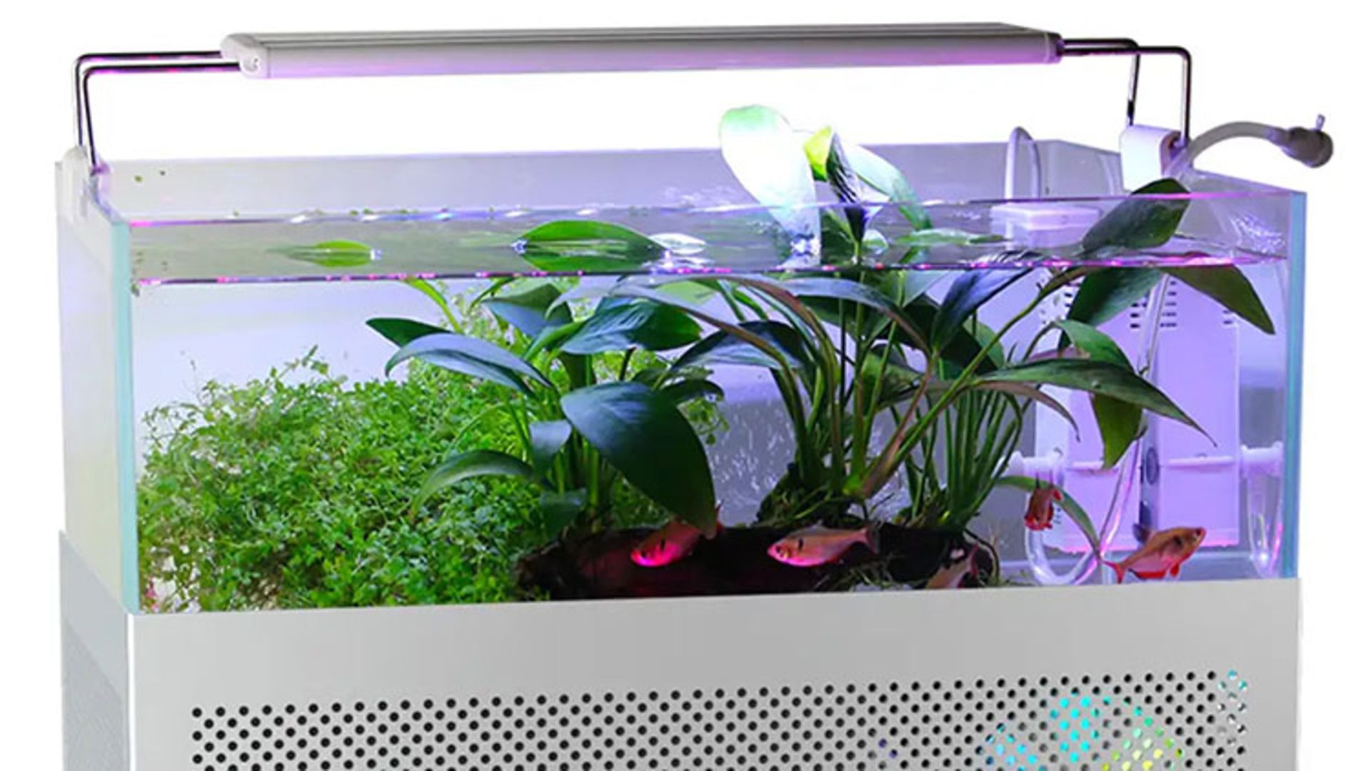 کیس آکواریومی Y2 Fish Tank