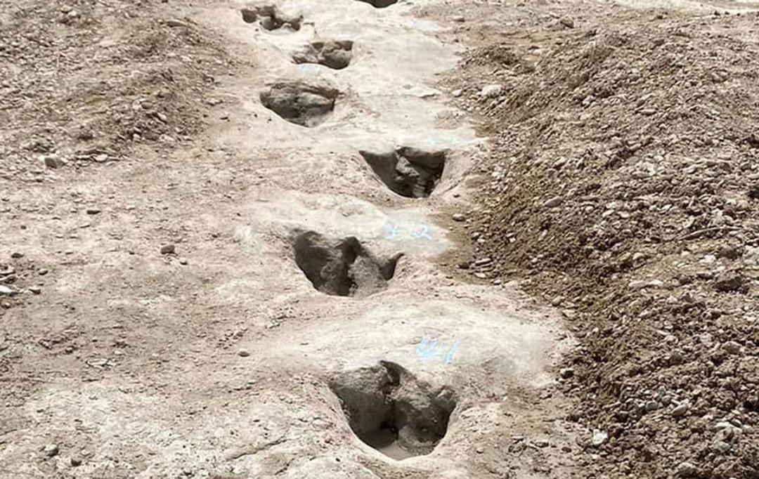 ردپای دایناسور ۱۱۳ میلیون ساله در تگزاس