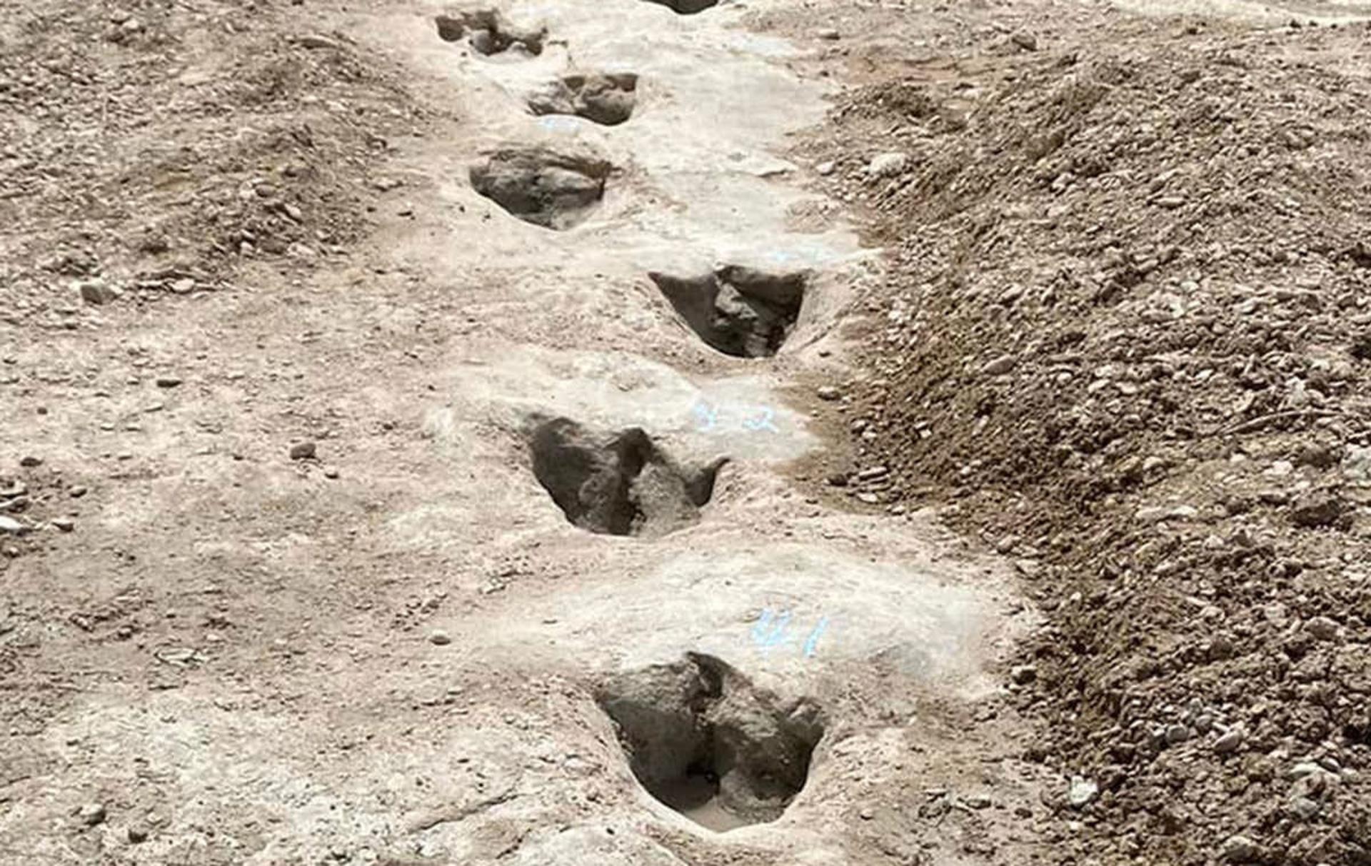ردپای دایناسور ۱۱۳ میلیون ساله در تگزاس