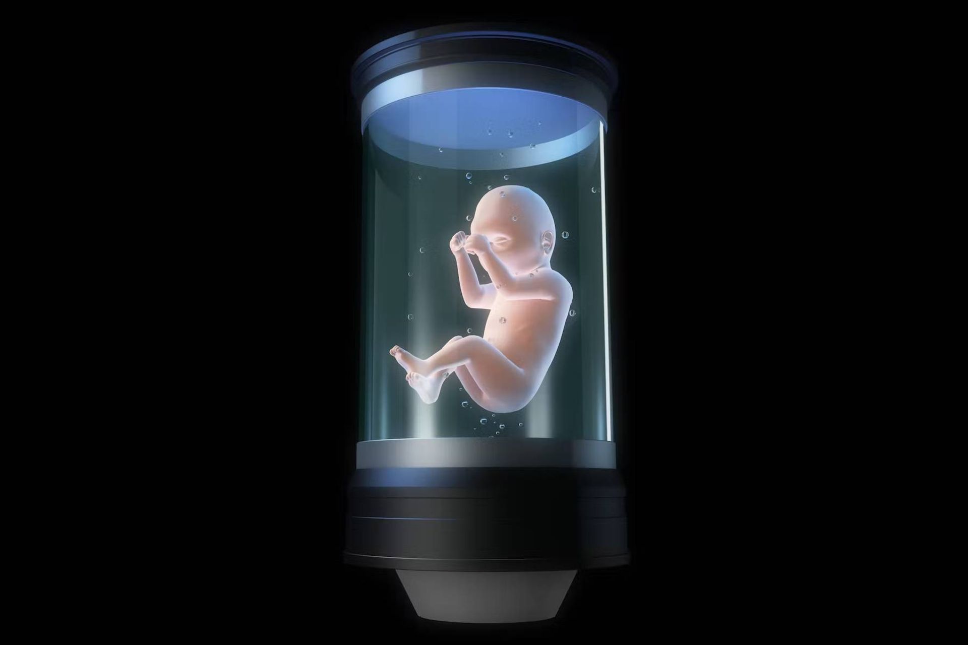 جنین انسان در شیشه / fetus