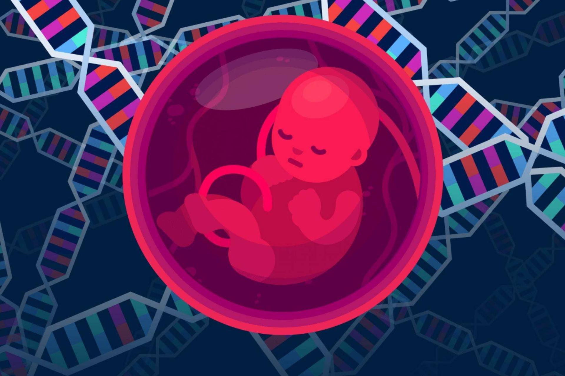 رقابت دانشمندان برای ساخت سلول‌های جنسی انسان در آزمایشگاه