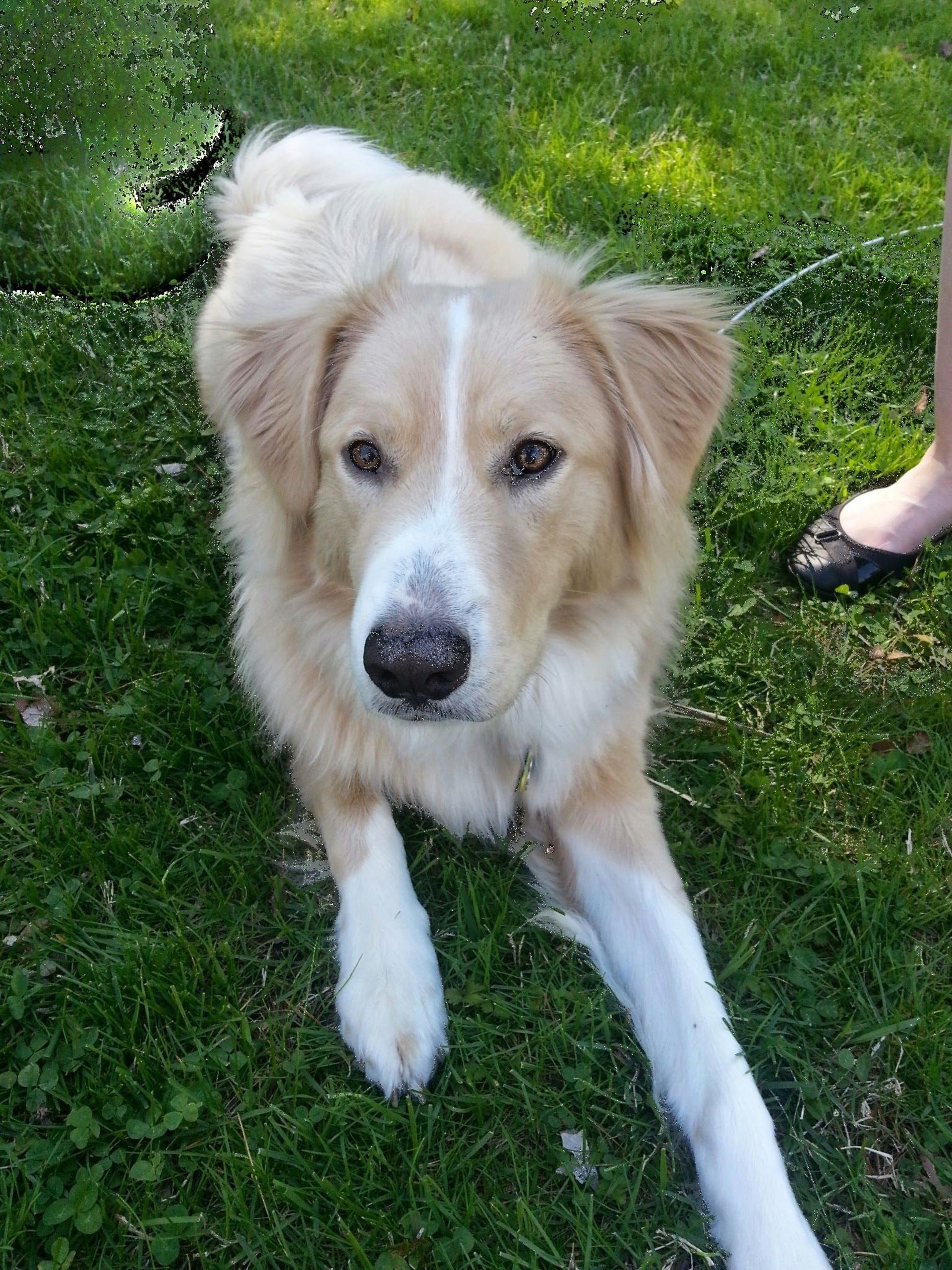 نمونه تصویر آسیب دیده در گوگل Photos