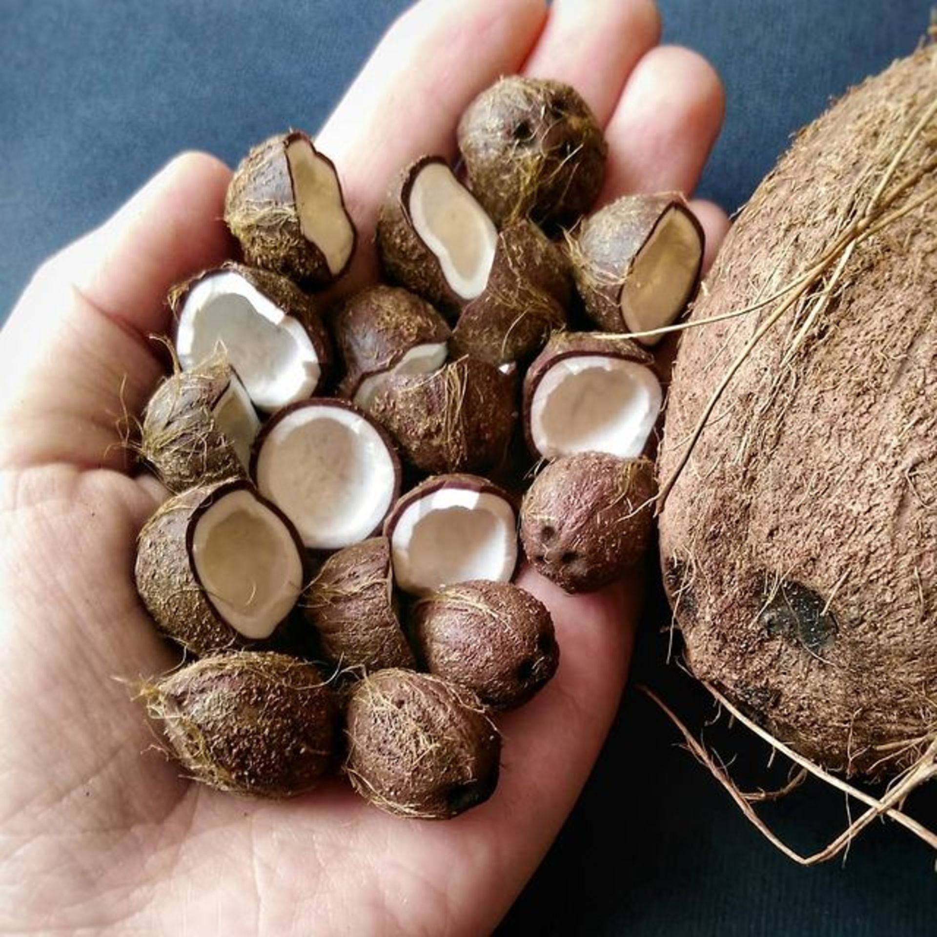 مجسمه‌های مینیاتوری با خاک رس