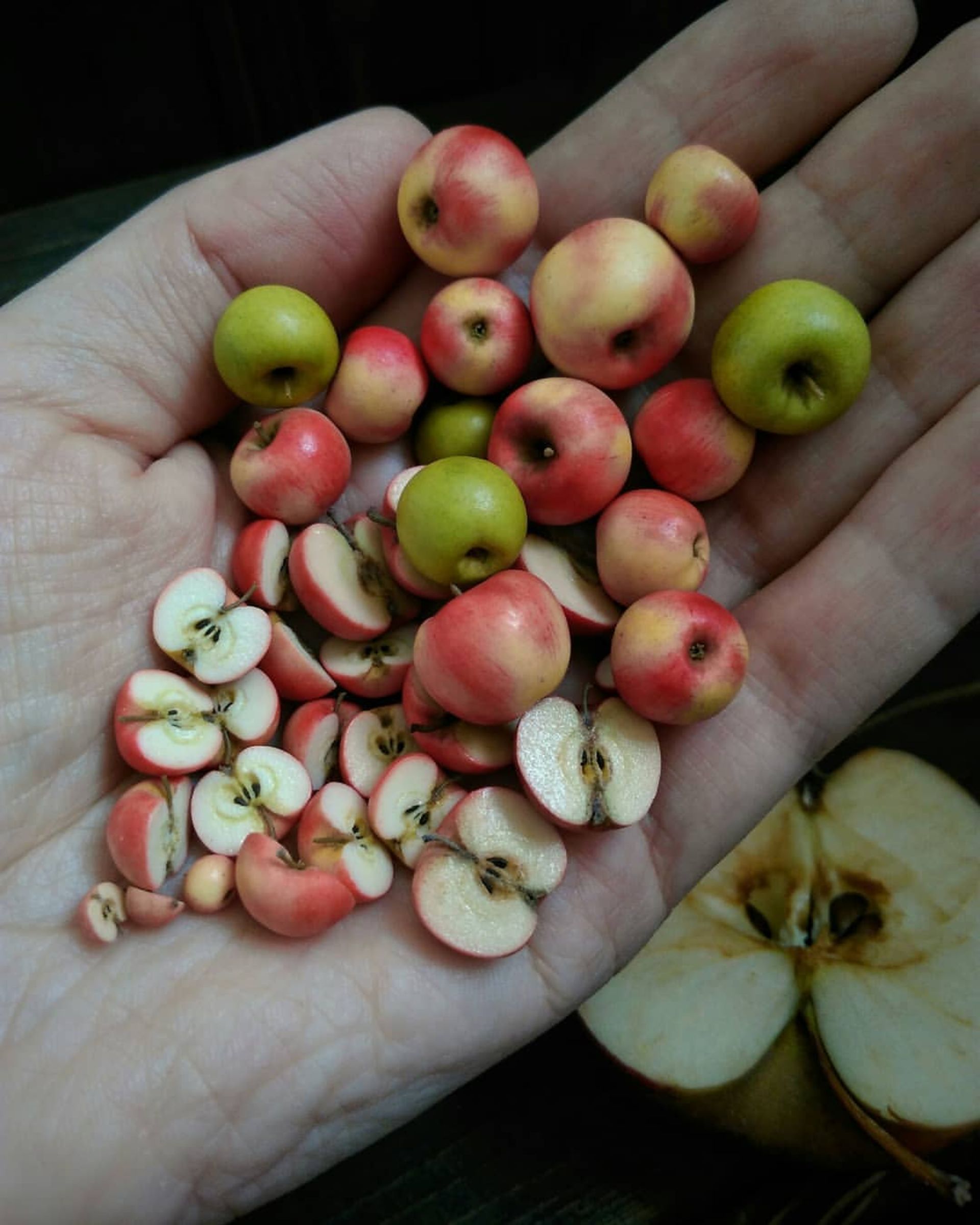 مجسمه‌های مینیاتوری با خاک رس