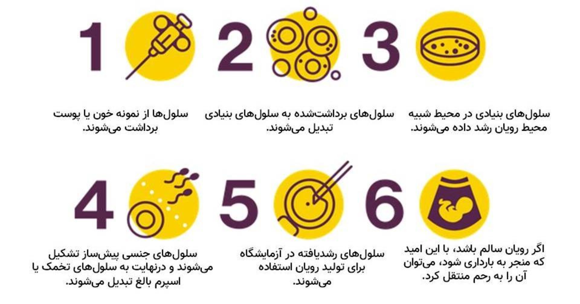 تولید رویان از سلول های جنسی مصنوعی / sex cell making
