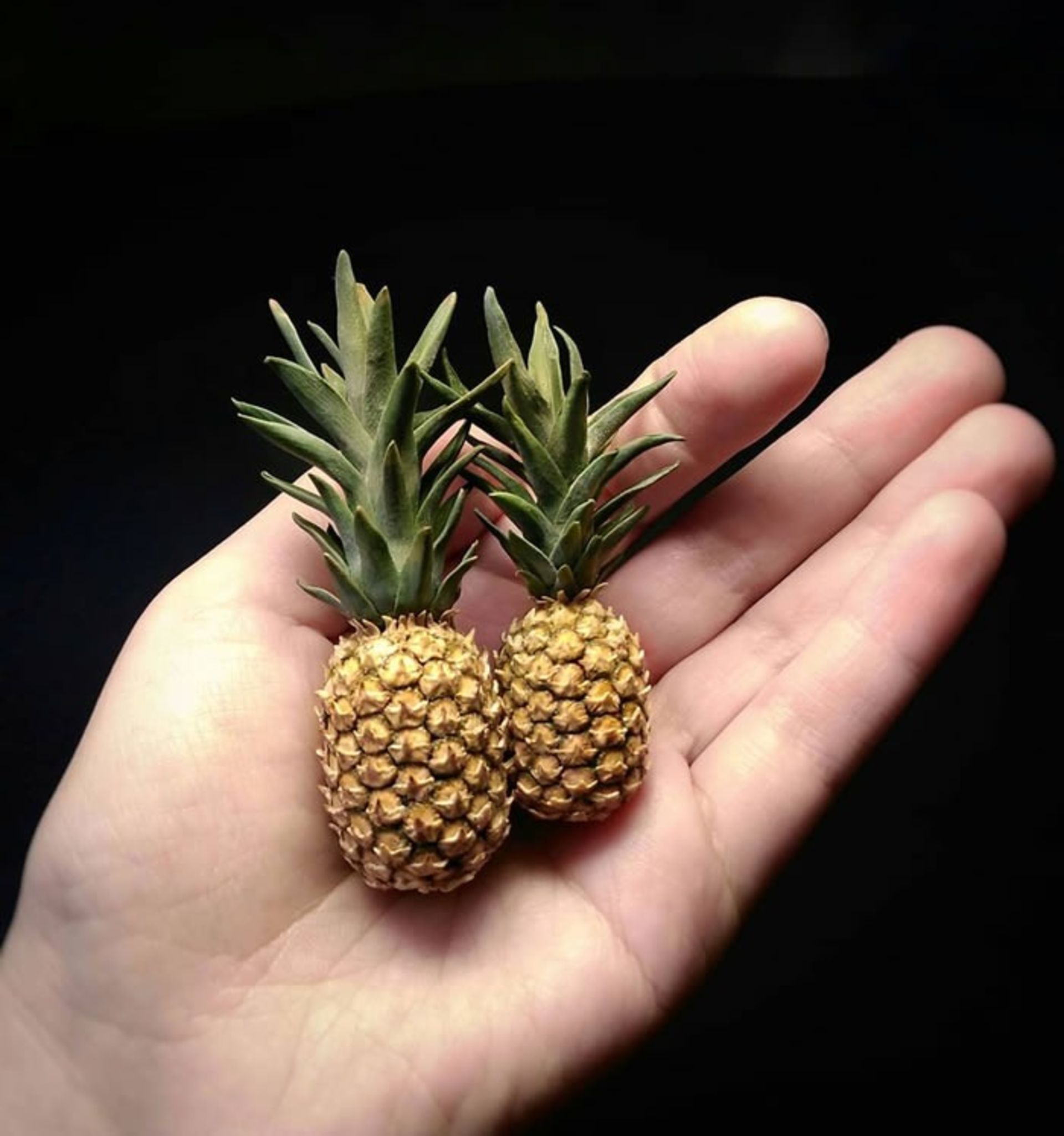 مجسمه‌های مینیاتوری با خاک رس