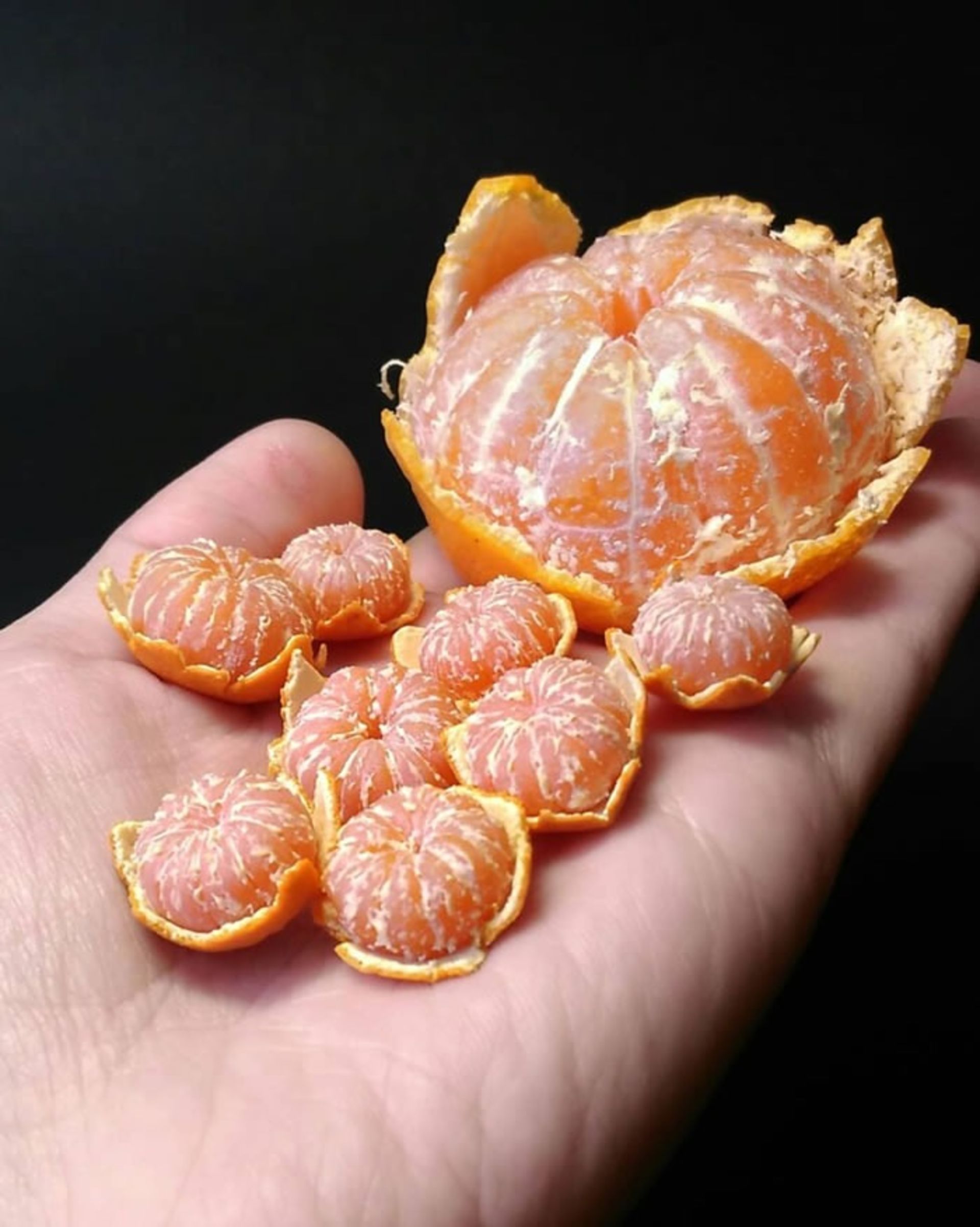 مجسمه‌های مینیاتوری با خاک رس