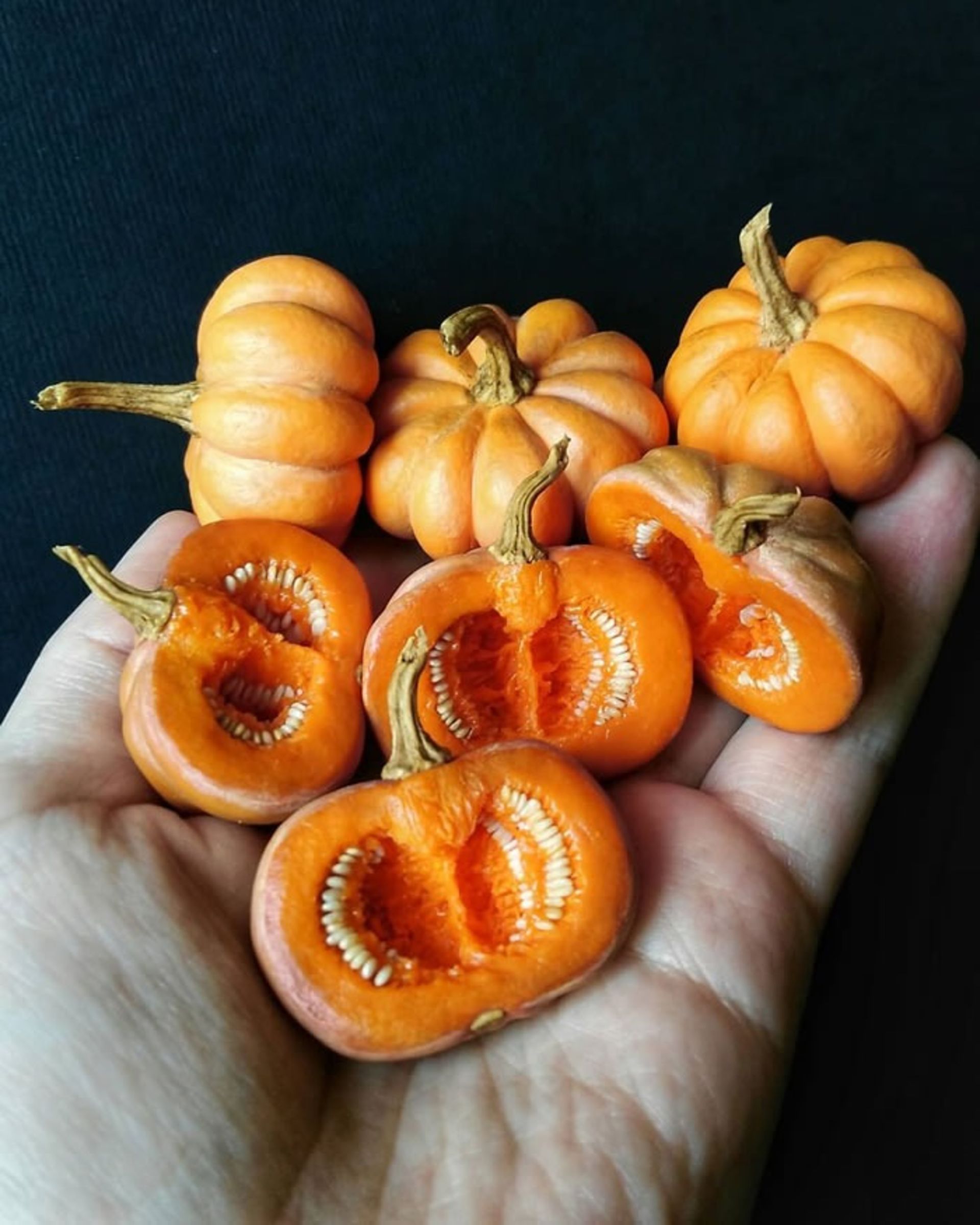 مجسمه‌های مینیاتوری با خاک رس