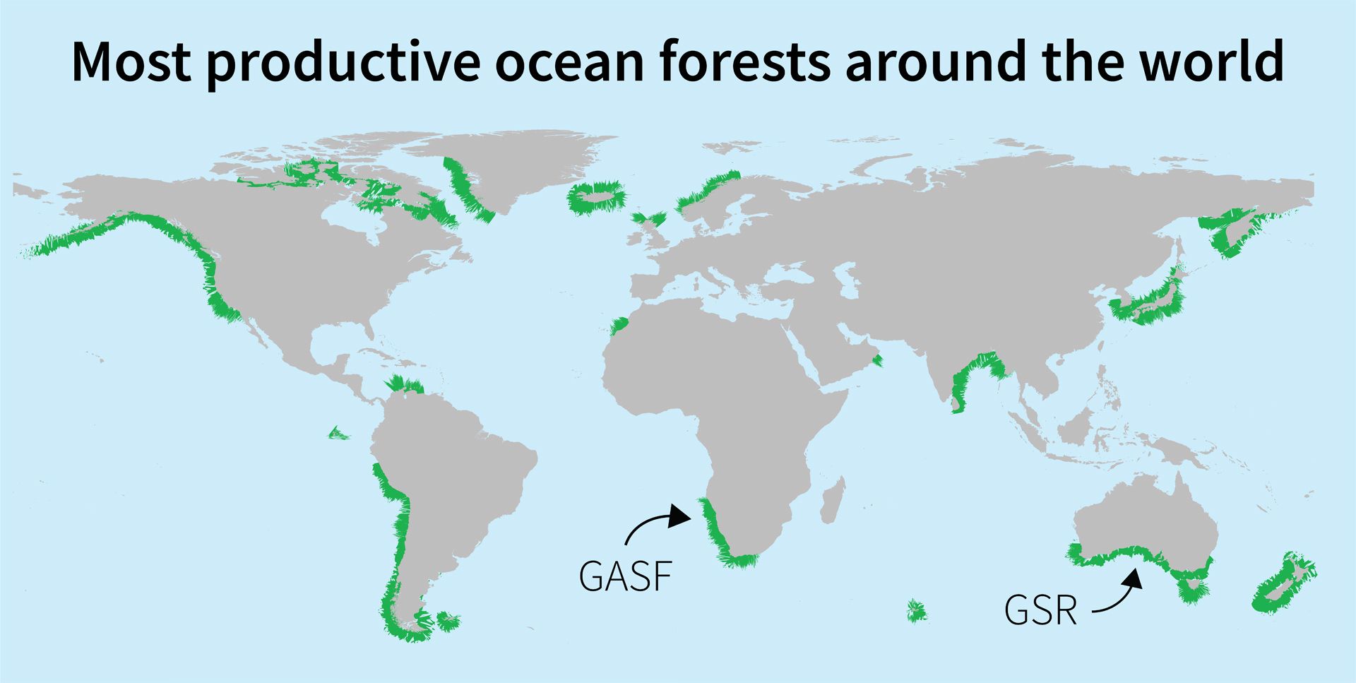 پرحاصل ترین جنگل های اقیانوسی شناخته شده در دنیا