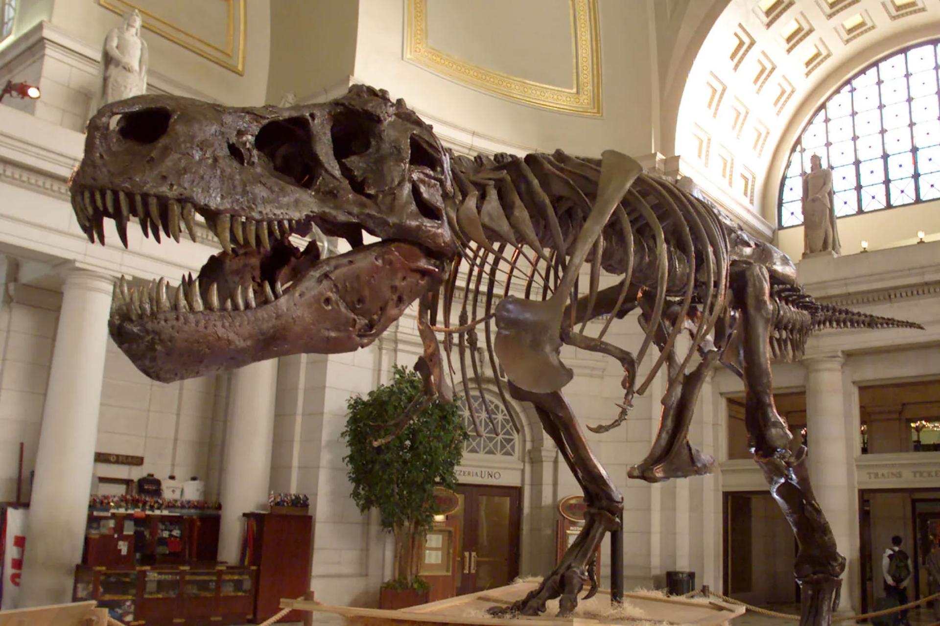 معمای حل‌نشدنی؛ صدای دایناسورها چگونه بوده است؟