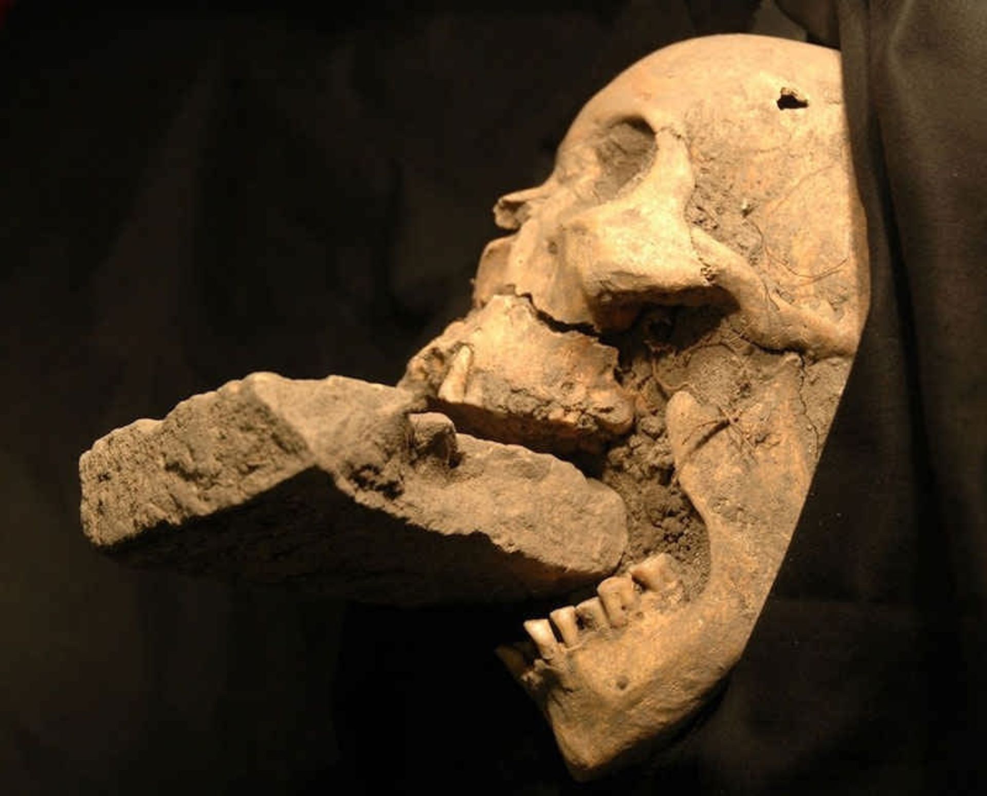 خرافه‌های پیرامون خون‌آشام‌ها 