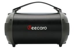 ابعاد اسپیکر بیکارو Beecaro X114