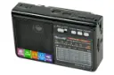 ابعاد اسپیکر گولون رادیو Golon Radio RX-1313BT