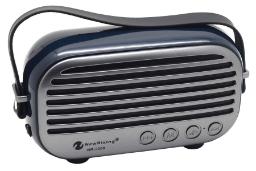 ابعاد اسپیکر نیو ریکسینگ NEWRIXING NR-3000
