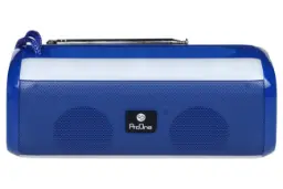 اسپیکر پرو وان ProOne PSB4113 نمای جلو