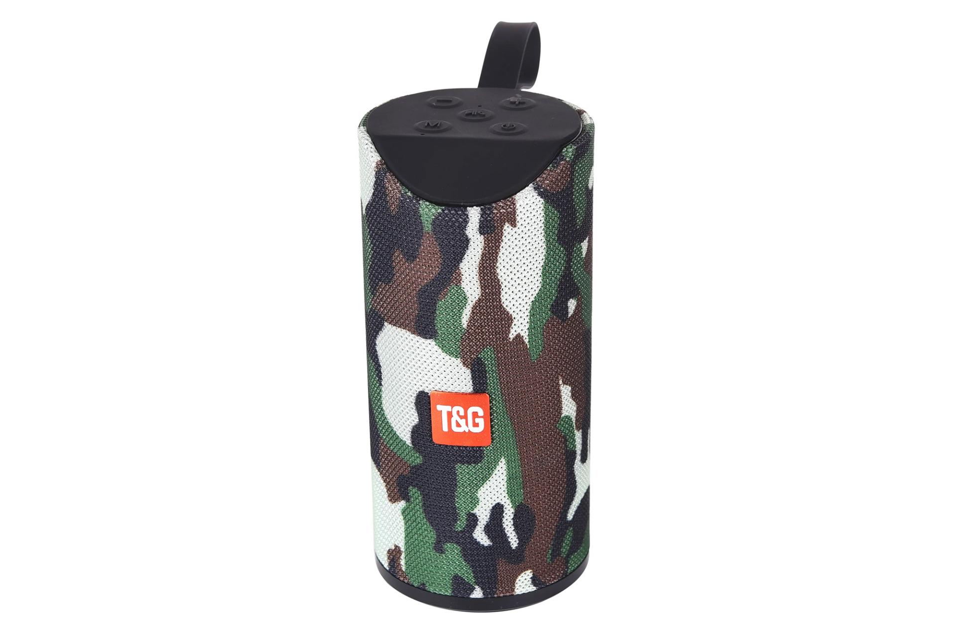 ابعاد اسپیکر تی اند جی T&G TG-113