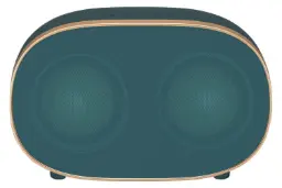 توان اسپیکر رسی Recci RSK-W10