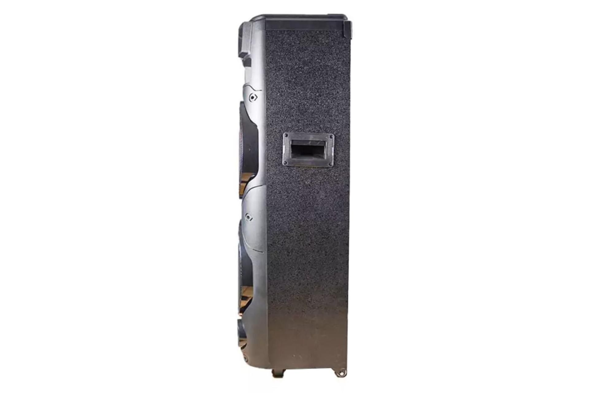 اسپیکر داتیس DATIS DS-1202 نمای کنار