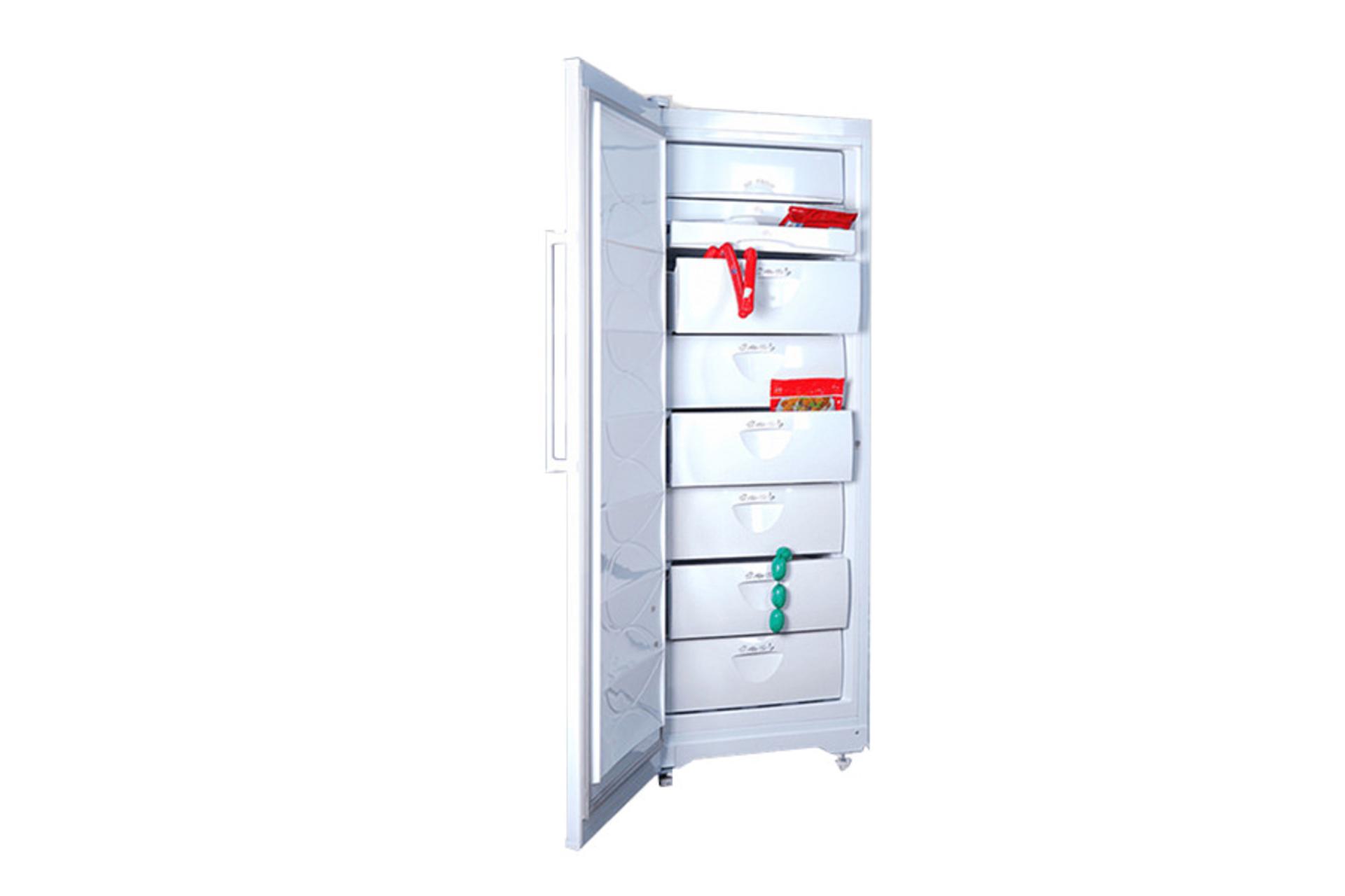 فریزر آزمایش Azmayesh RoyalN 2265 F فضای داخل