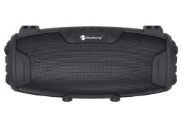 توان اسپیکر نیو ریکسینگ NEWRIXING NR-3026M