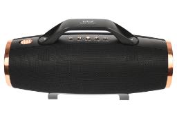 ابعاد اسپیکر وستر WSTER WS-1837