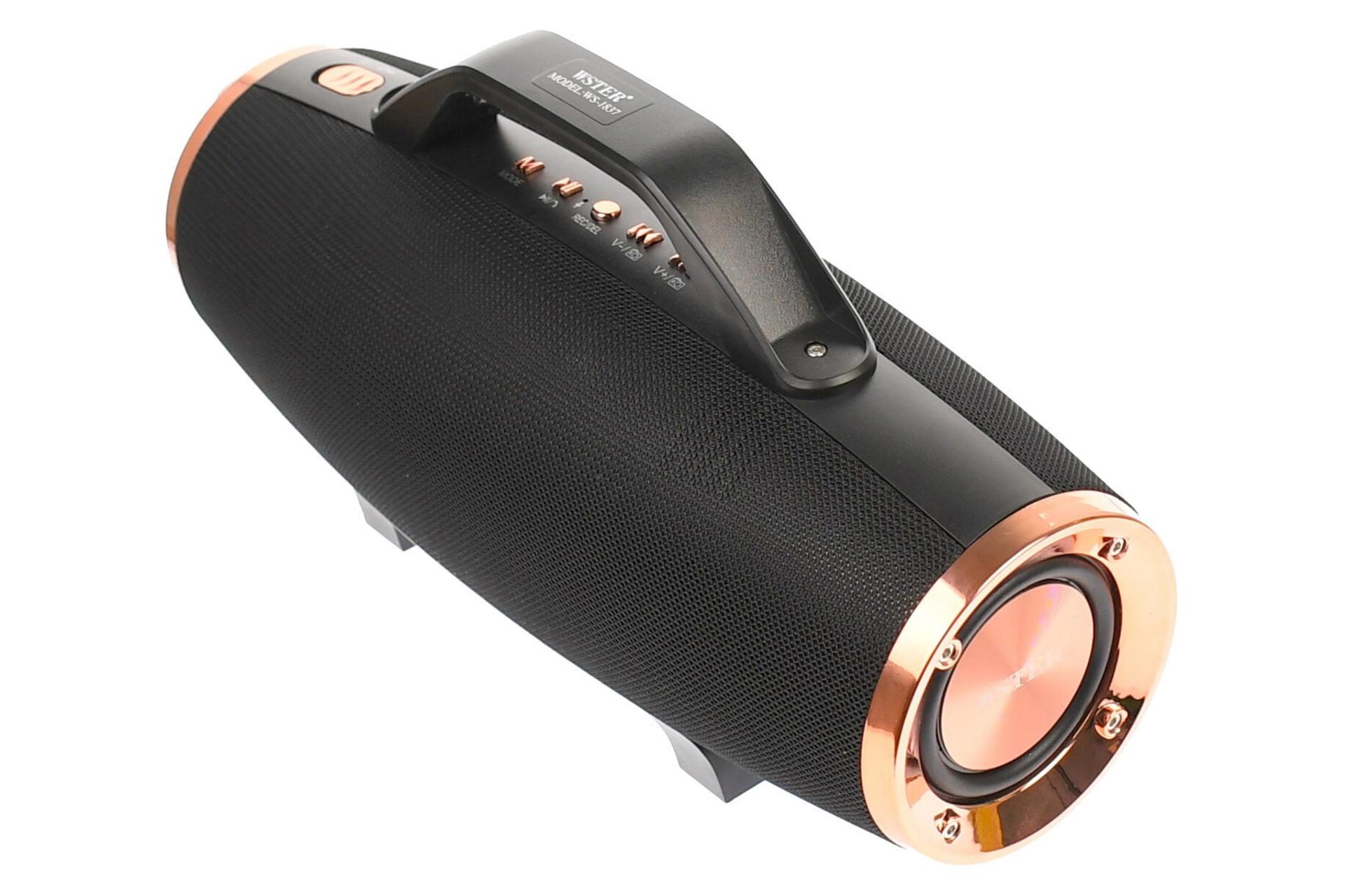 توان اسپیکر وستر WSTER WS-1837