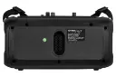 اسپیکر داینا پرو DynaPro D-4200 نمای پشت