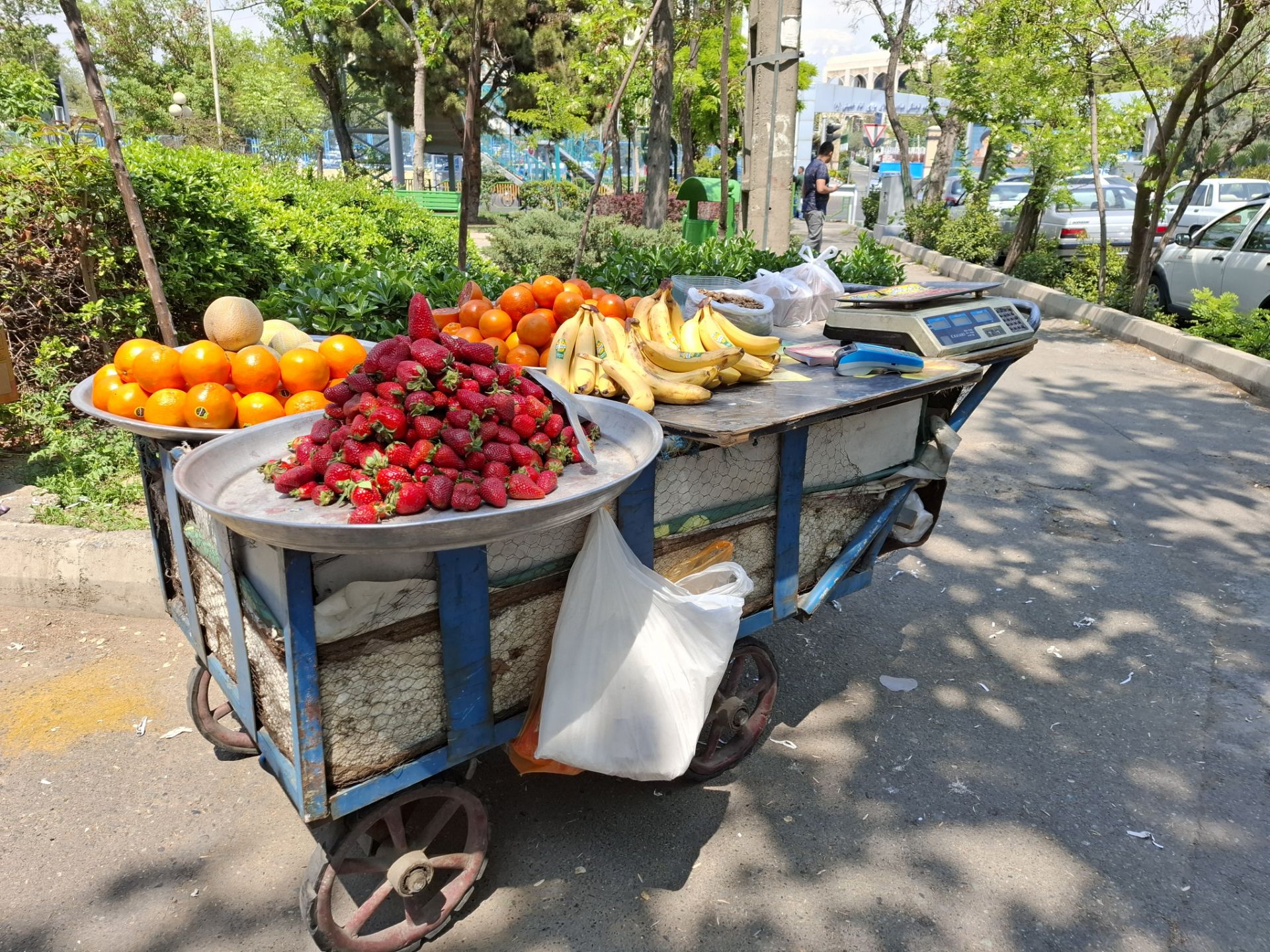 دستفروش میوه