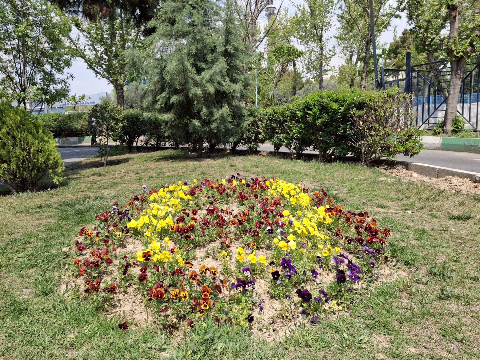 نمایی از پارک با گل های رنگارنگ با دوربین گلکسی A35