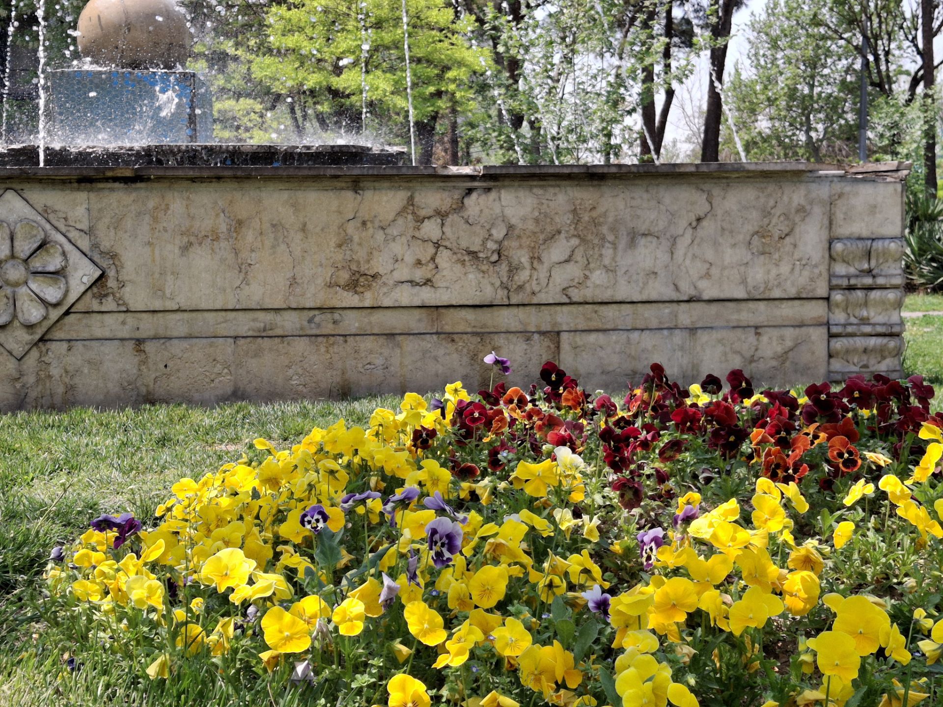 نمایی از یک پارک با درختان سبز و گل های رنگارنگ در فصل بهار با دوربین گلکسی A35