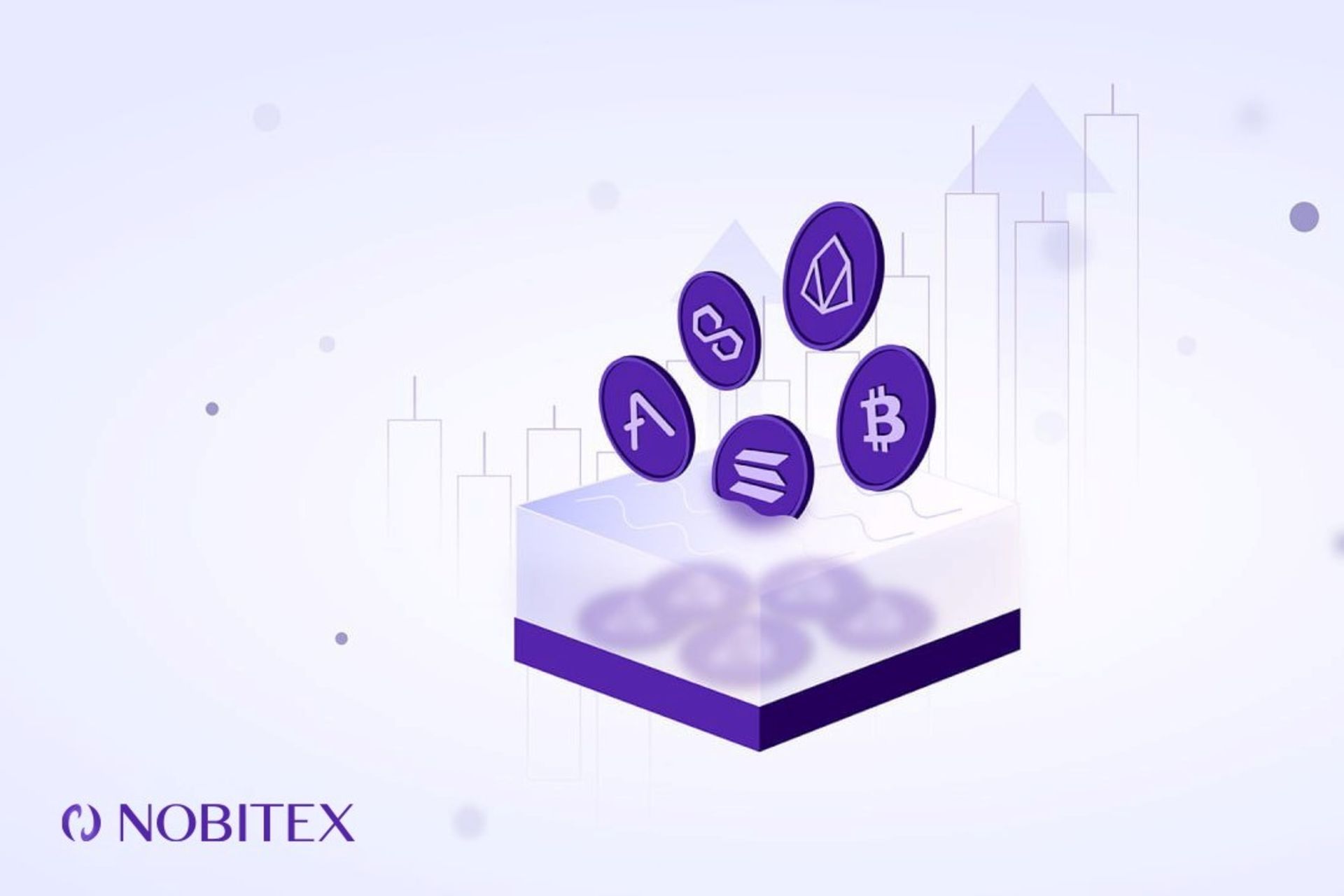استخر مشارکتی نوبیتکس