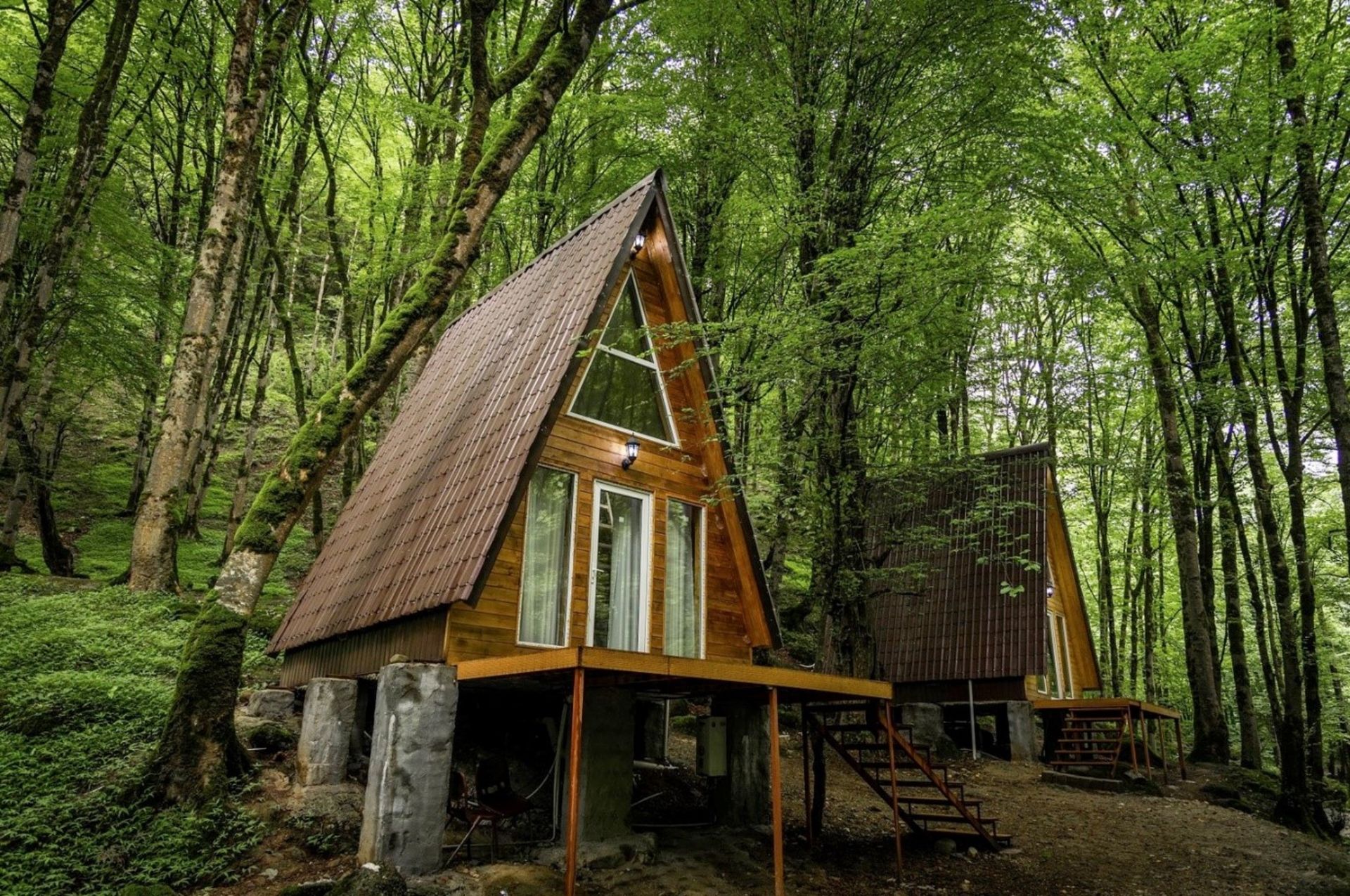 کلبه جنگلی / علی بابا