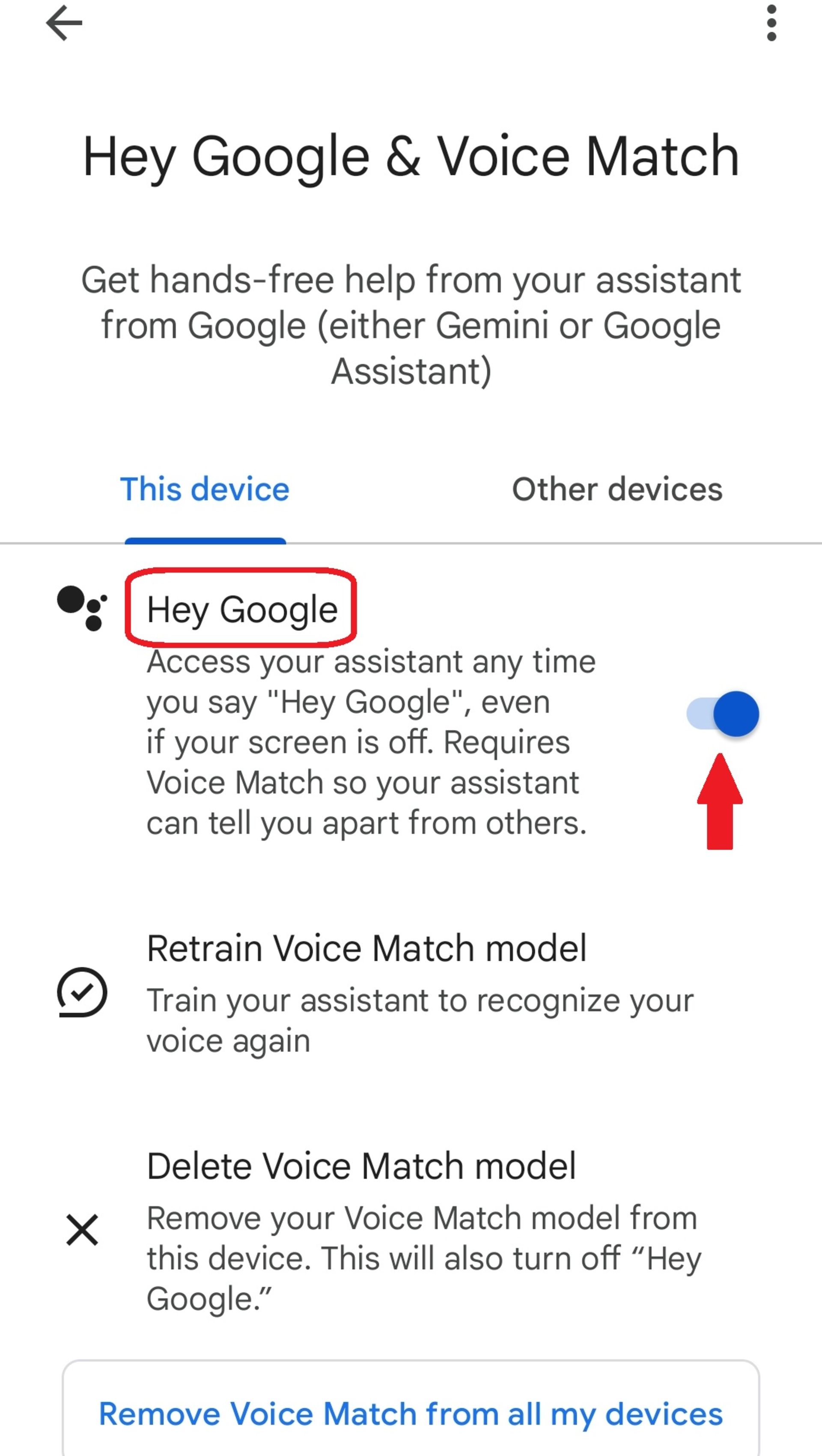 خاموش‌کردن Hey Google