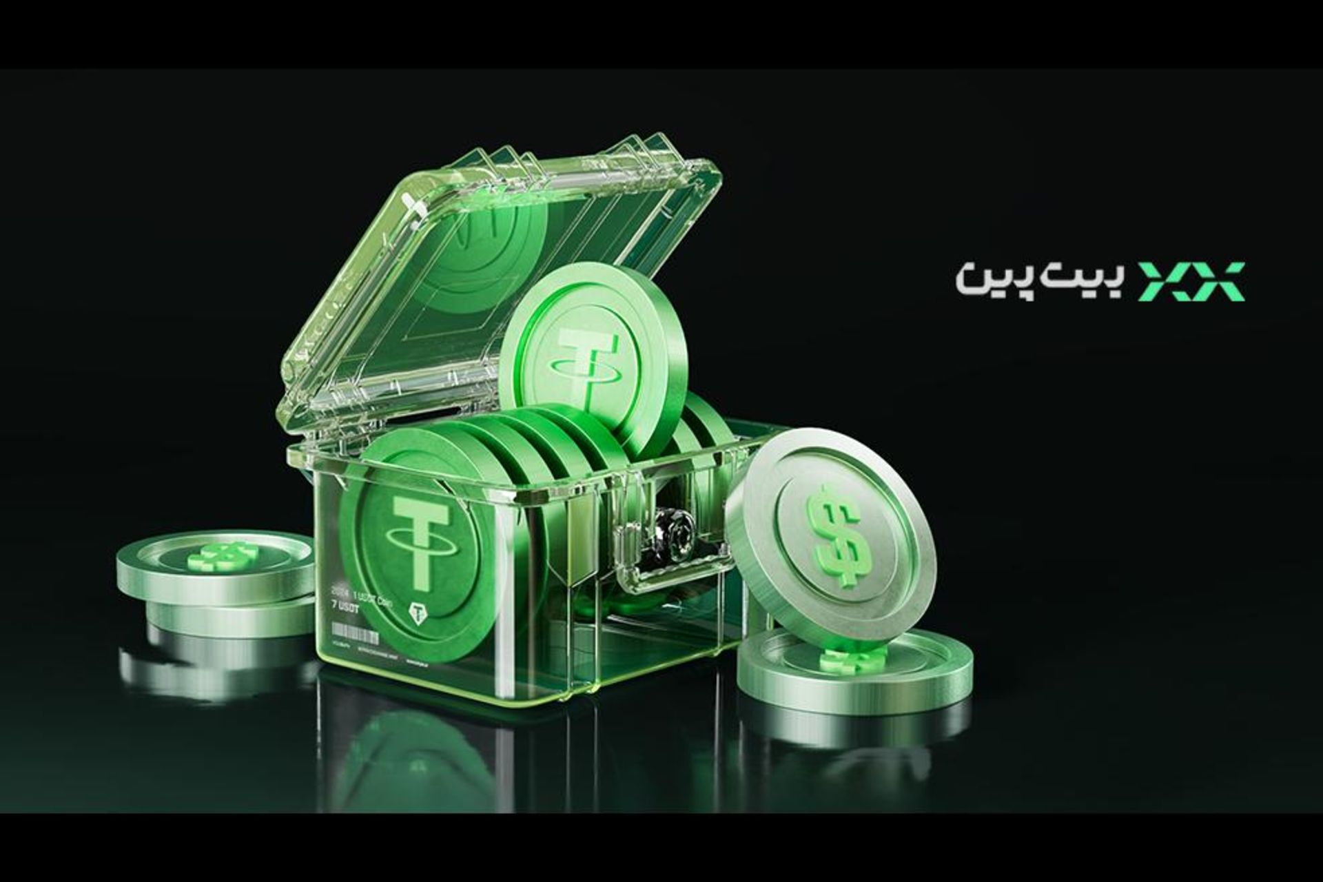 بیت پین