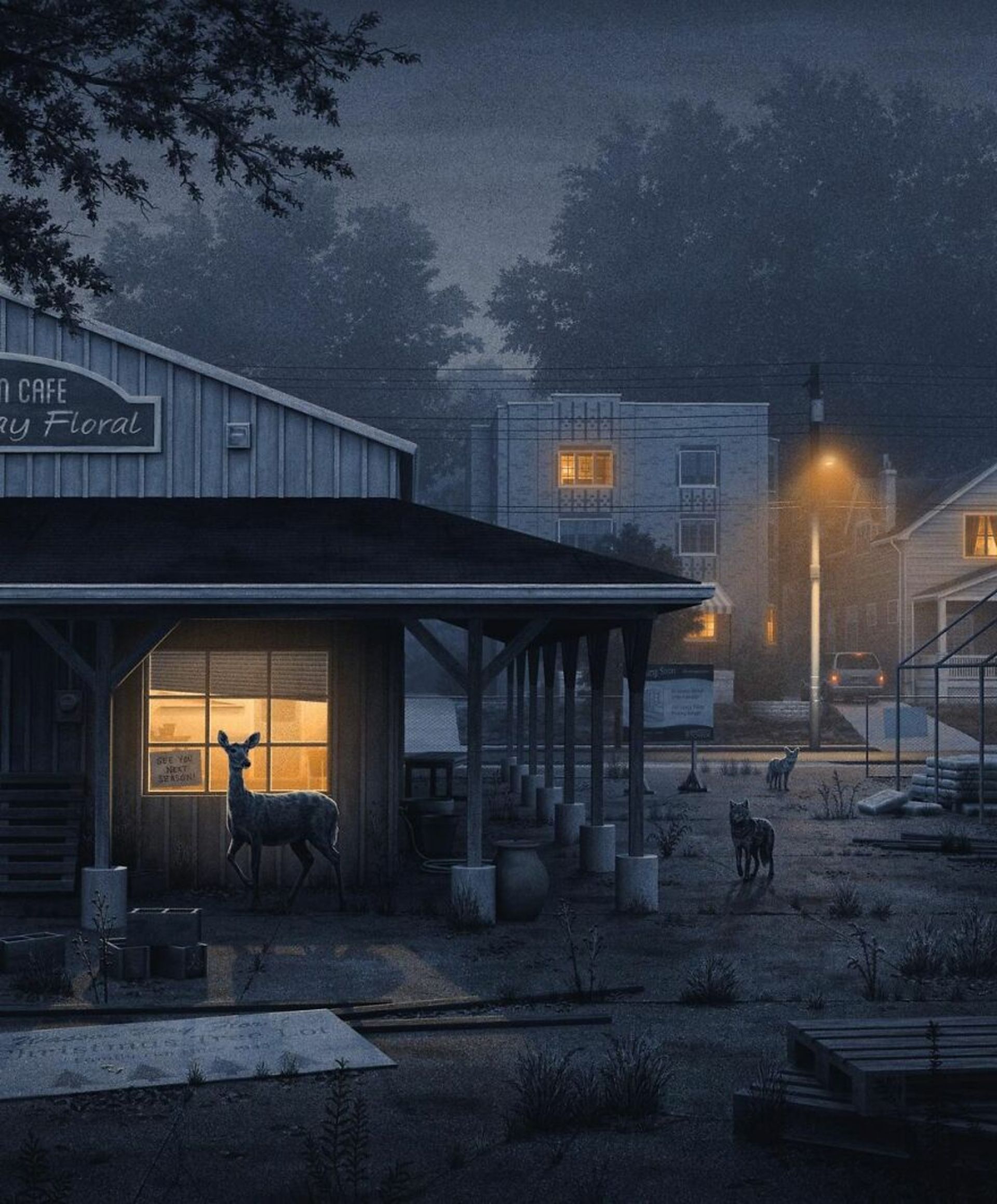 گوزن و حیوانات شب‌زی در خیابان