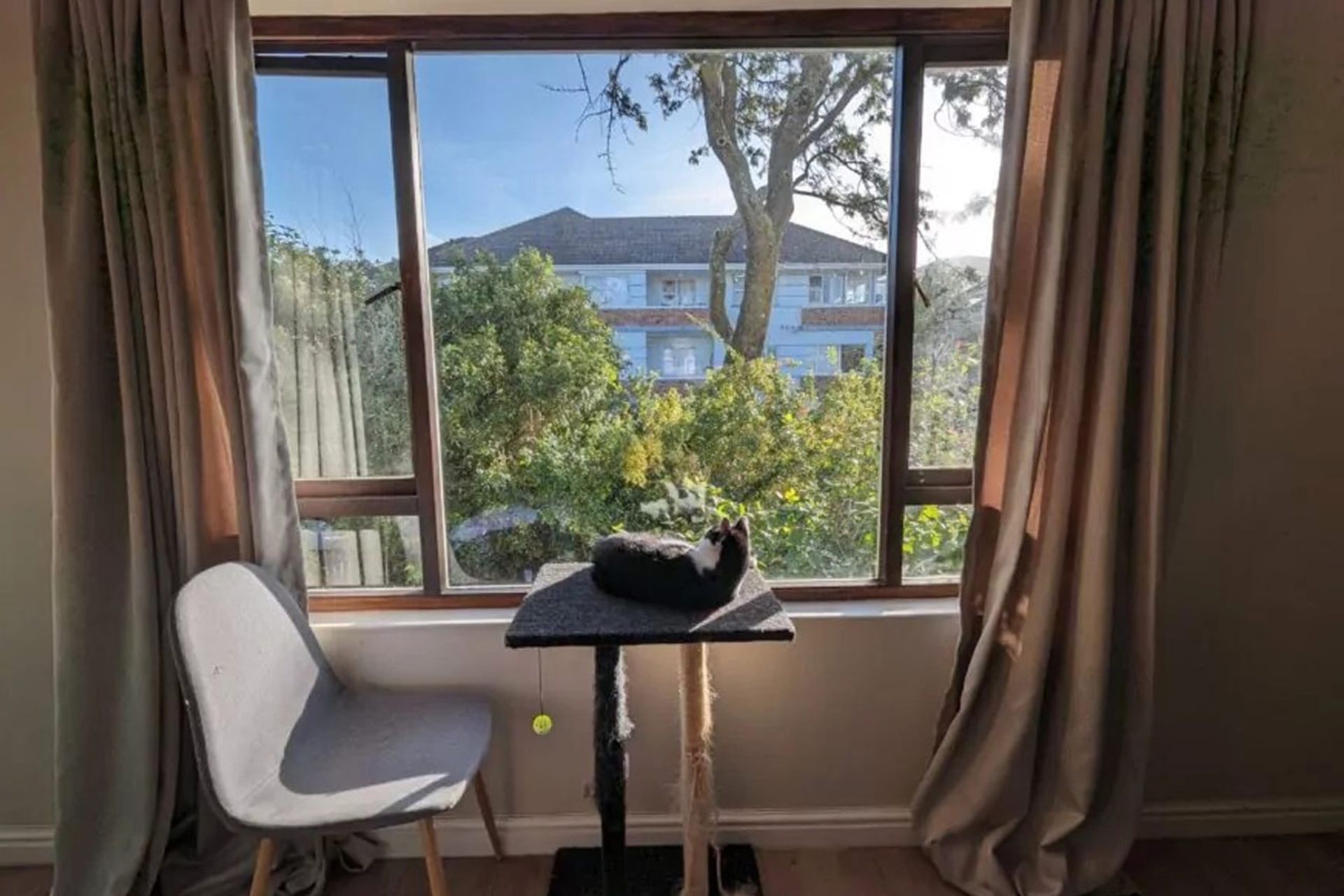 عملکرد دوربین اولتراواید پیکسل ۷ پرو