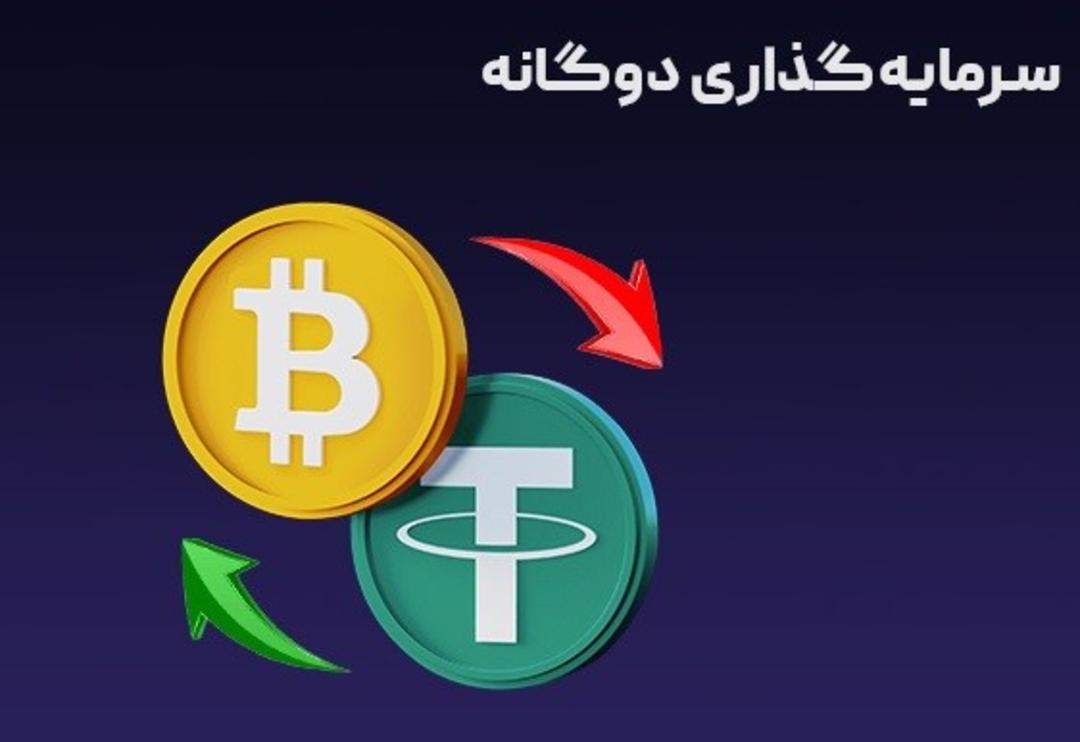 بیت ۲۴