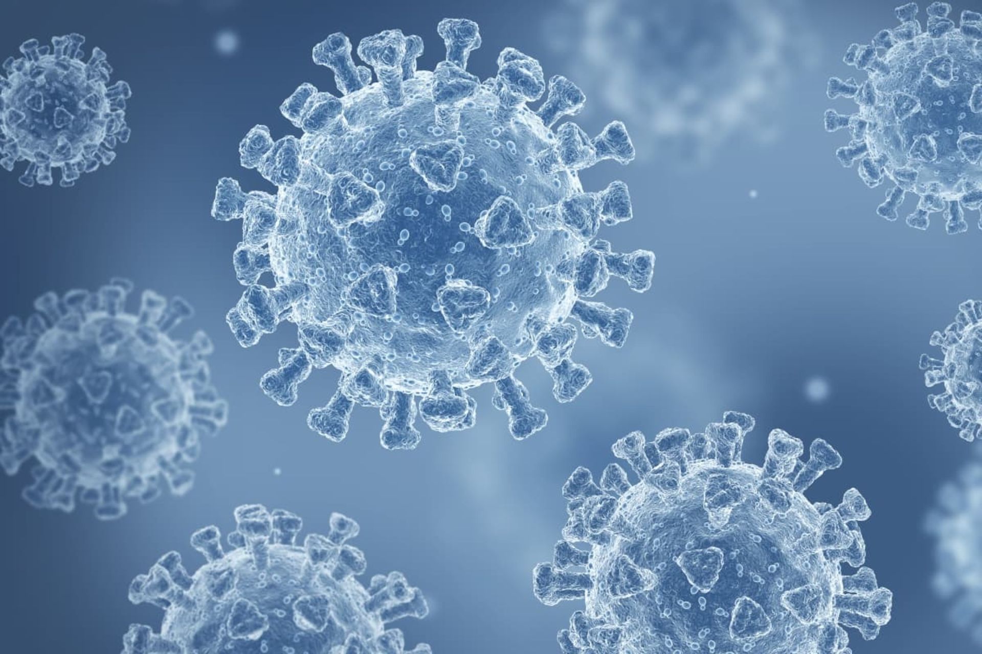 تصویر کامپیوتری از چند ویروس کرونا