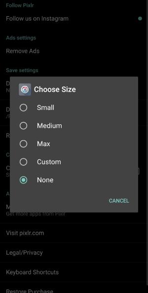 Pixlr settings page and various image size options