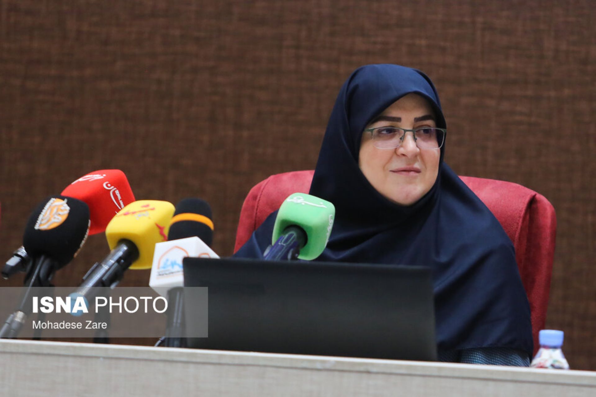 فاطمه مهاجرانی، سخنگوی دولت