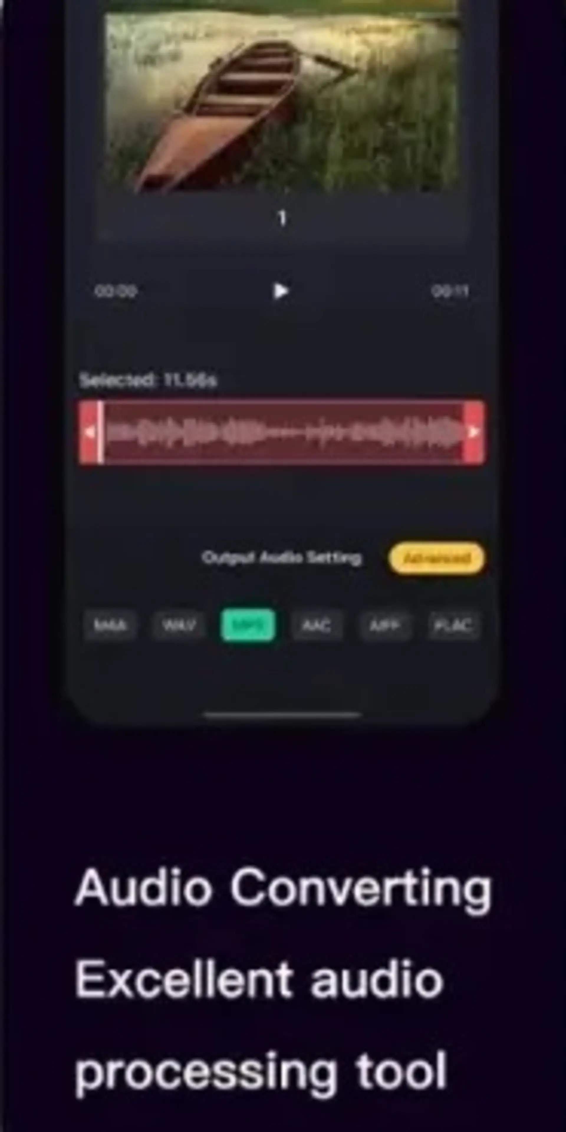 اپلیکیشن Vocal Separator
