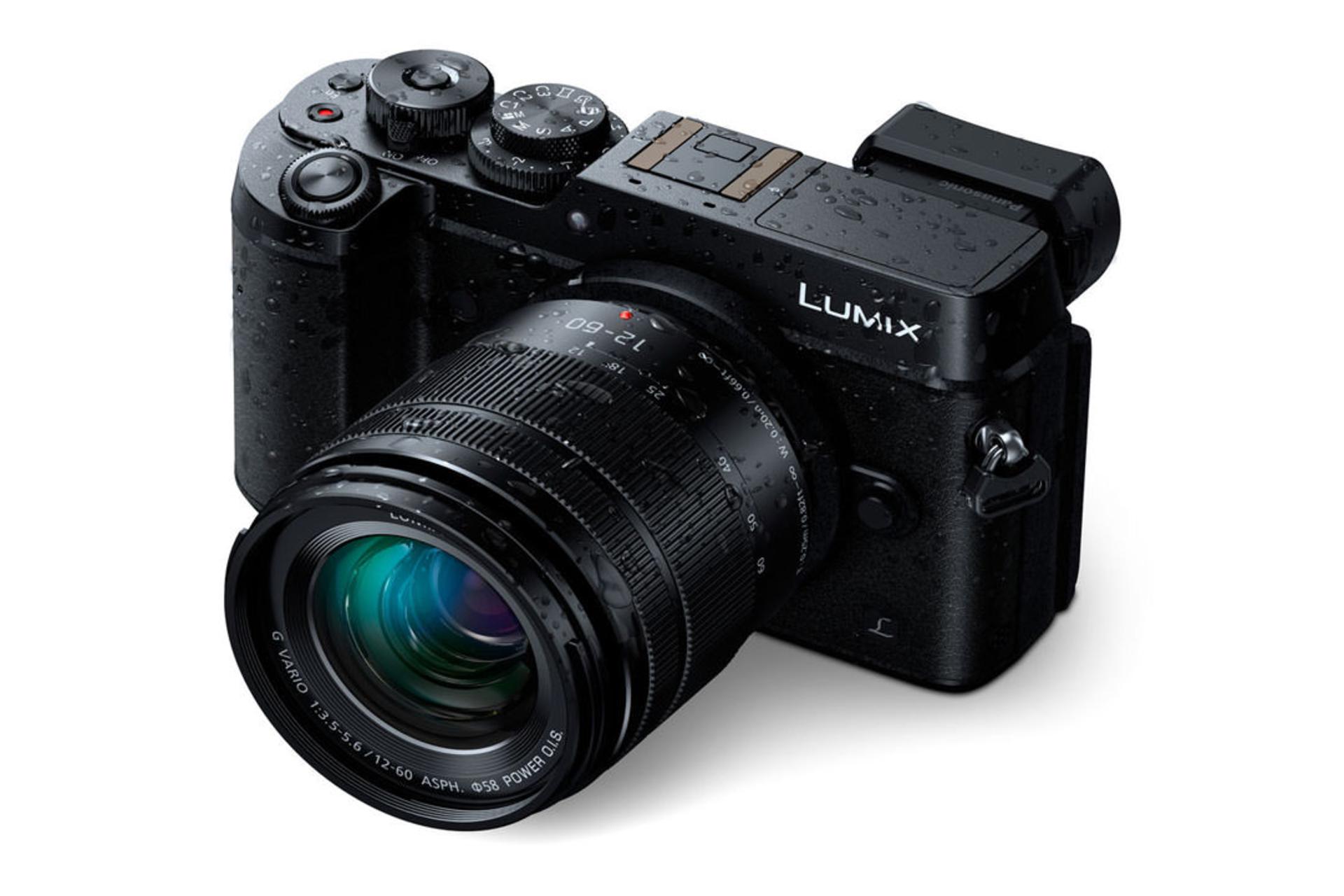 Panasonic Lumix G Vario 12-60mm F3.5-5.6 ASPH Power OIS	